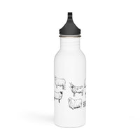 Stainless Steel Water Bottle