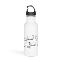 Stainless Steel Water Bottle