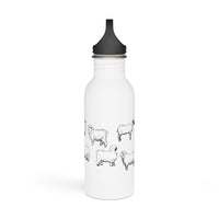 Stainless Steel Water Bottle