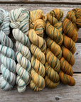 Gradient Family Colour Sets KPPPM