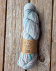 SINGLE Skeins - Cheers single Merino/ lincoln SALE
