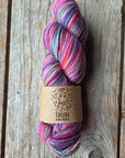 SINGLE Skeins - Cheers single Merino/ lincoln SALE