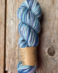 SINGLE Skeins - Cheers single Merino/ lincoln SALE