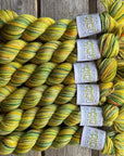 Koigu Collector Originals