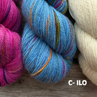 Koigu Sheep Sweater Kit