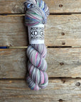 Single Variegated Skeins - Jasmine DK Merino - SALE