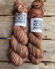 Single Variegated Skeins - Jasmine DK Merino - SALE