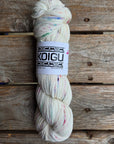 Single Variegated Skeins - Jasmine DK Merino - SALE
