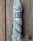 Single Variegated Skeins - Jasmine DK Merino - SALE