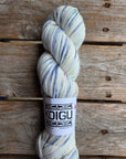 Single Variegated Skeins - Jasmine DK Merino - SALE