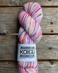 Single Variegated Skeins - Jasmine DK Merino - SALE