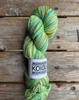 Single Variegated Skeins - Jasmine DK Merino - SALE