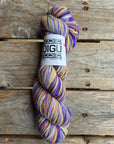Single Variegated Skeins - Jasmine DK Merino - SALE