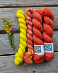 Lilleke Sock Kit