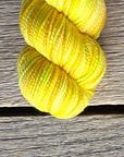 Summer Brights Palette - KPPPM (wholesale)