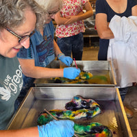 Yarn Dyeing Workshop - March 5th 6:30pm