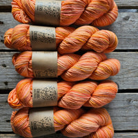 Cheers (merino + lincoln)