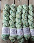 Koigu Collector Originals