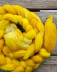 Koigu Merino Braid Roving