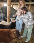 Koigu Sheep Sweater Kit