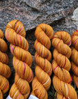 Koigu Collector Originals