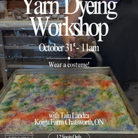 Yarn Dyeing Workshop - October 31st 11:00AM