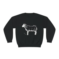 Shetland Sheep Sweatshirt