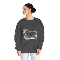 Lincoln Sheep Sweatshirt