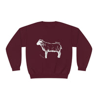 Shetland Sheep Sweatshirt