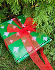 12 Days of Koigu Christmas Advent Box