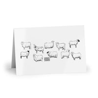 Sheep Greeting Cards (10-pcs)