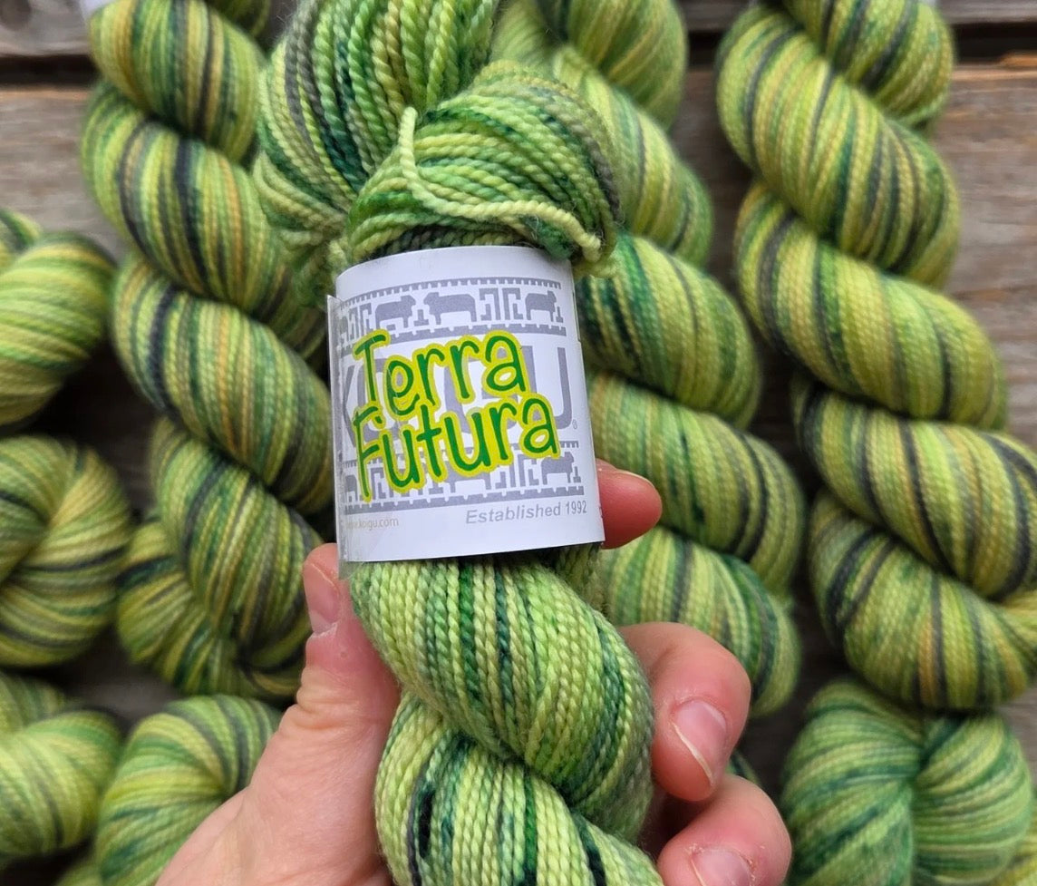 Koigu Collector Originals