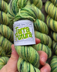 Koigu Collector Originals