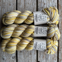 999s Corriedale 100g SALE