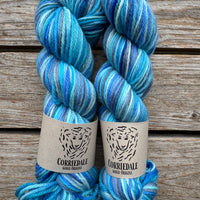 999s Corriedale 100g SALE
