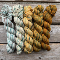 Gradient Family Colour Sets KPPPM