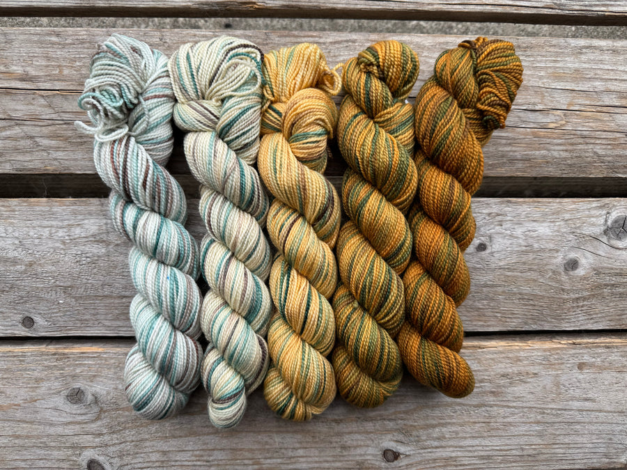 Gradient Family Colour Sets KPPPM
