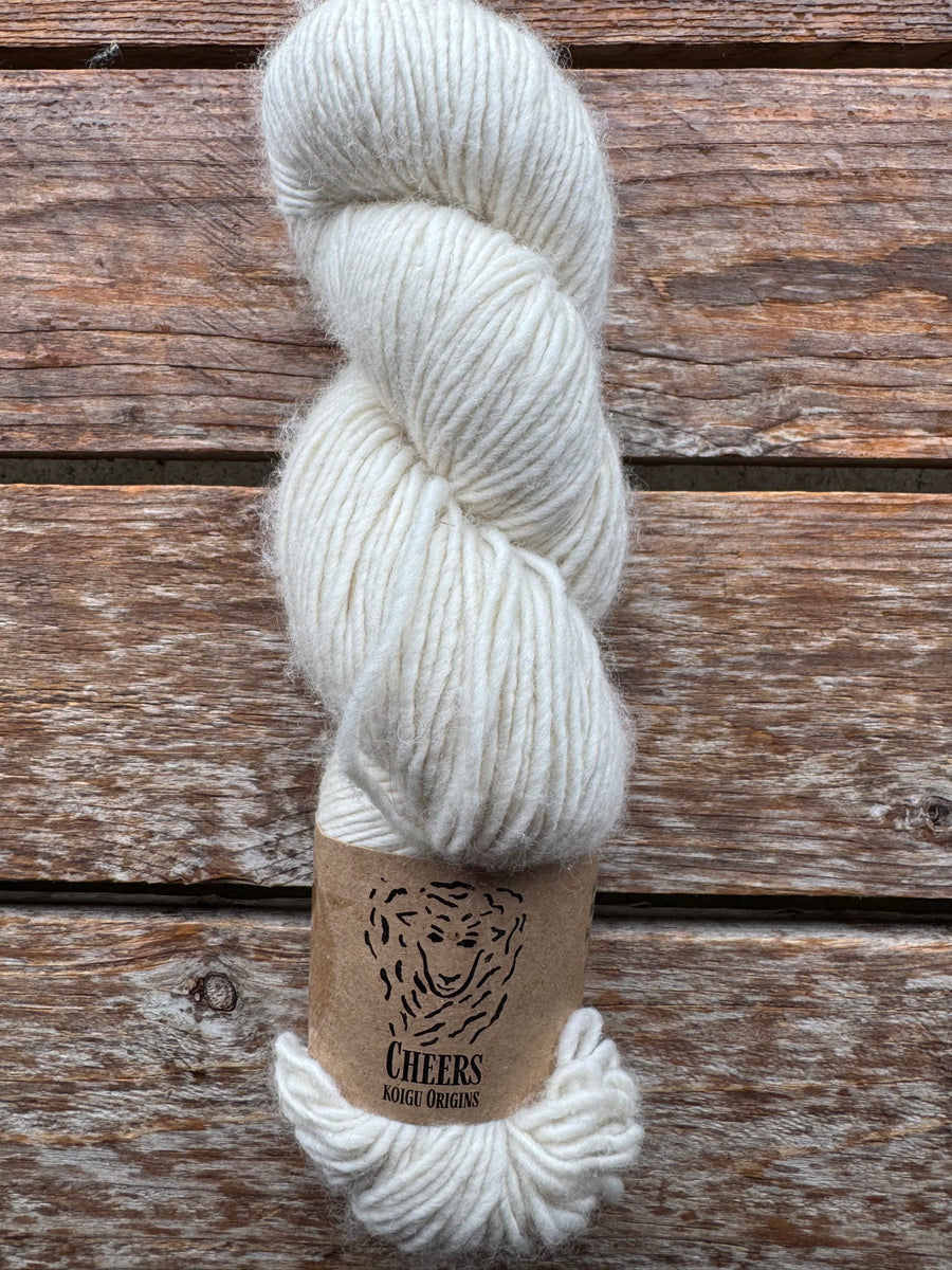 SINGLE Skeins - Cheers single Merino/ lincoln SALE