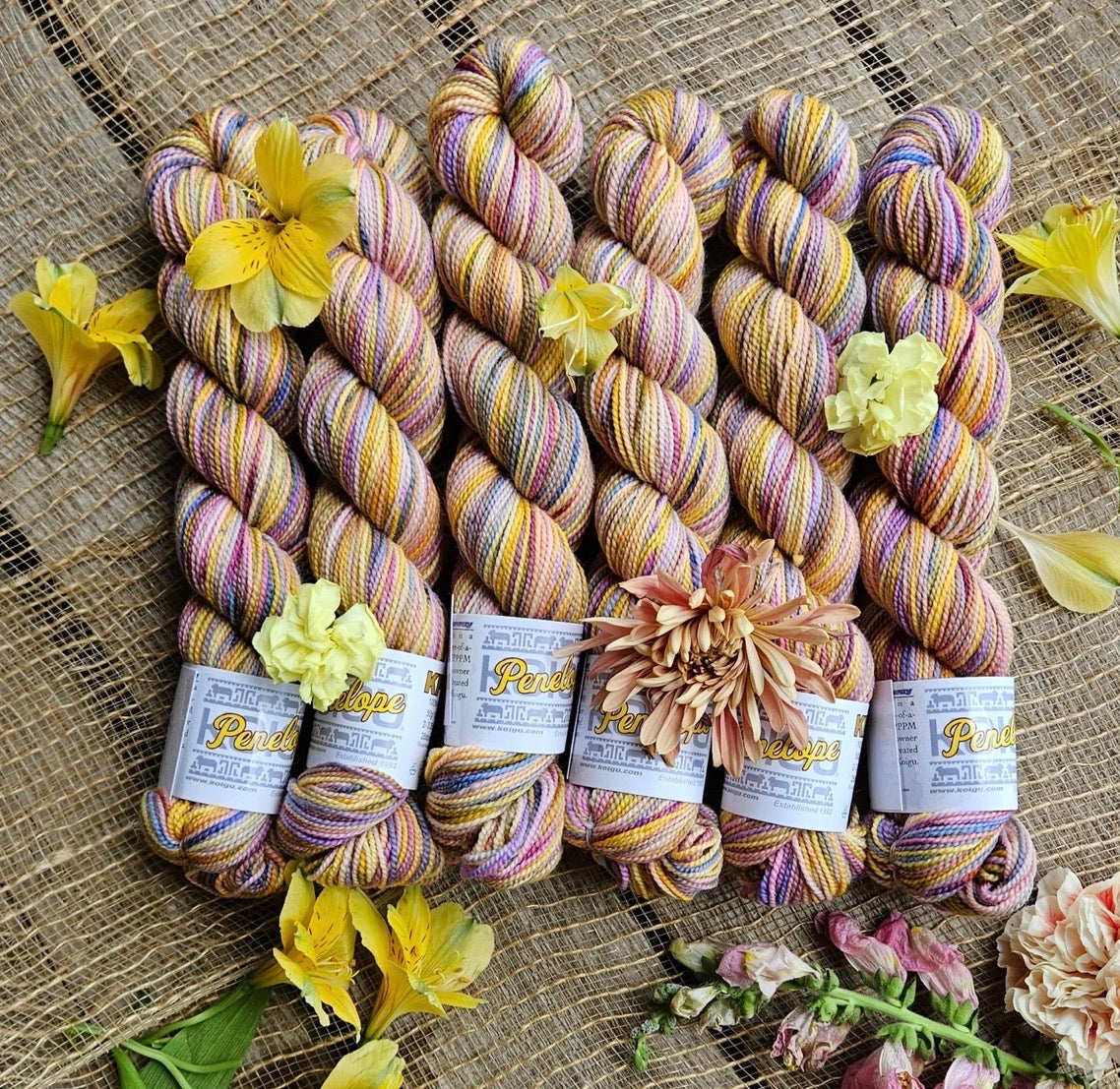 Koigu Collector Originals