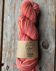 SINGLE Skeins - Cheers single Merino/ lincoln SALE