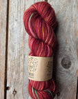 SINGLE Skeins - Cheers single Merino/ lincoln SALE