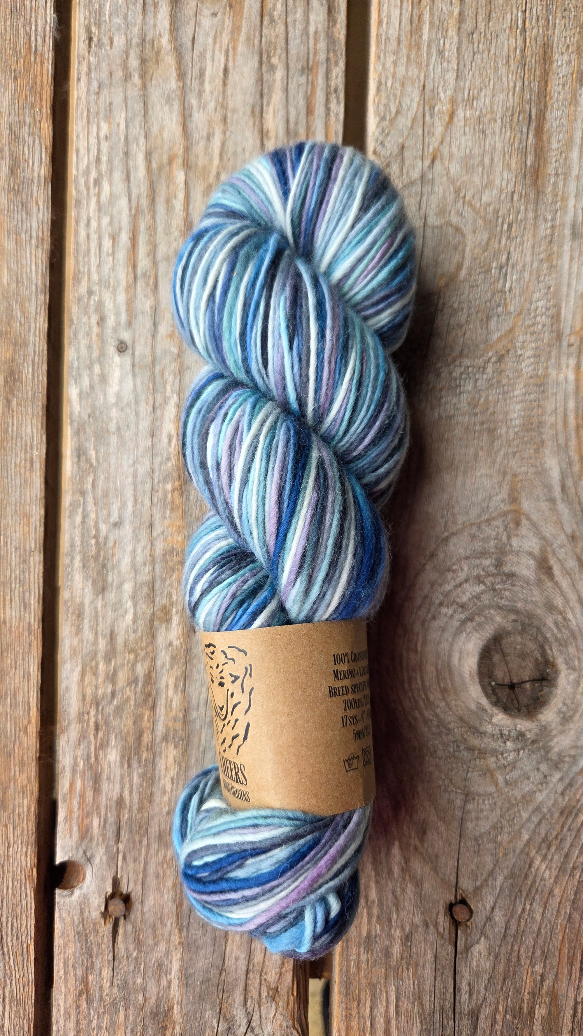 SINGLE Skeins - Cheers single Merino/ lincoln SALE