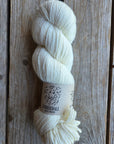 Corriedale Singles - SALE