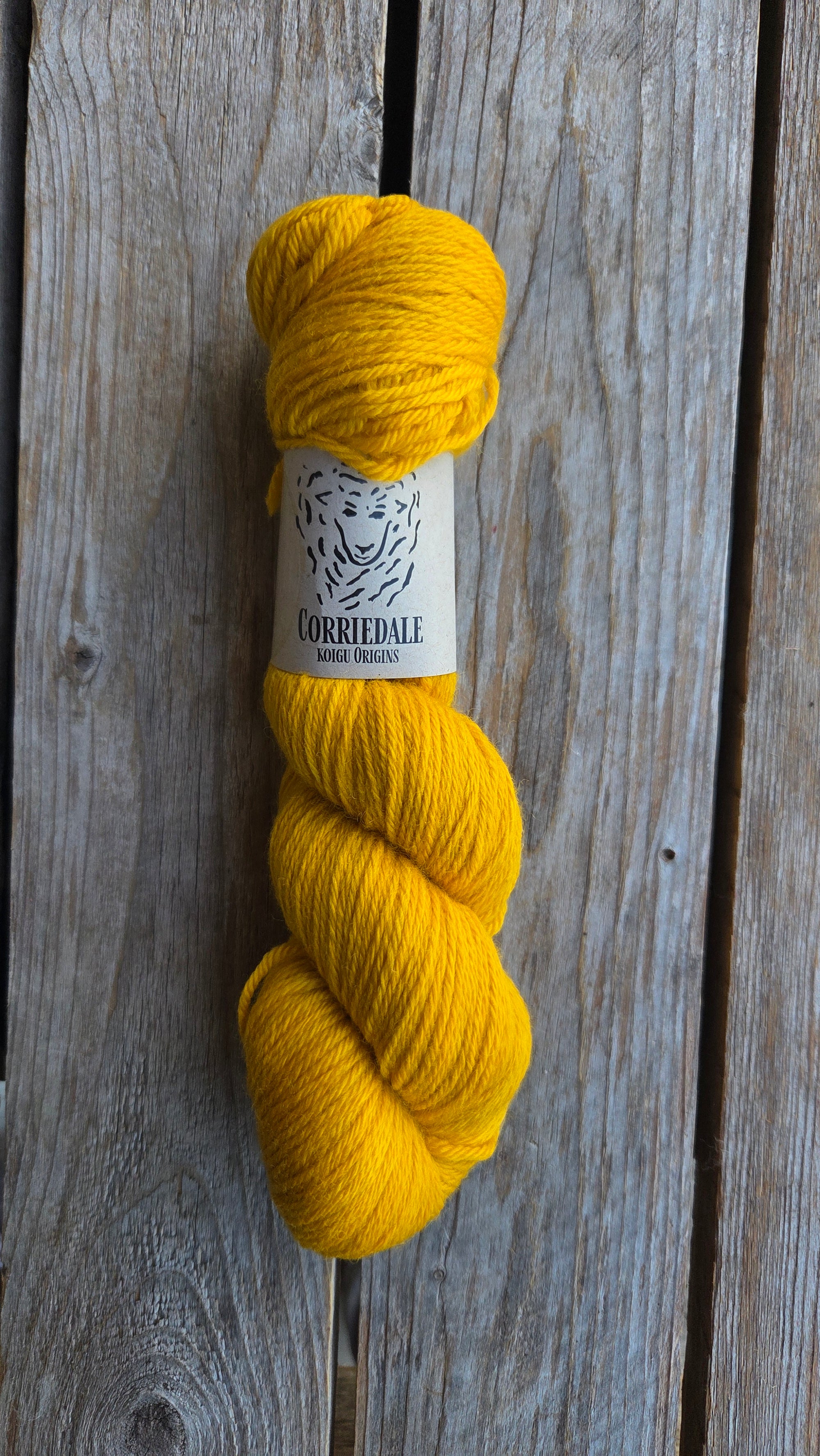 Corriedale Singles - SALE