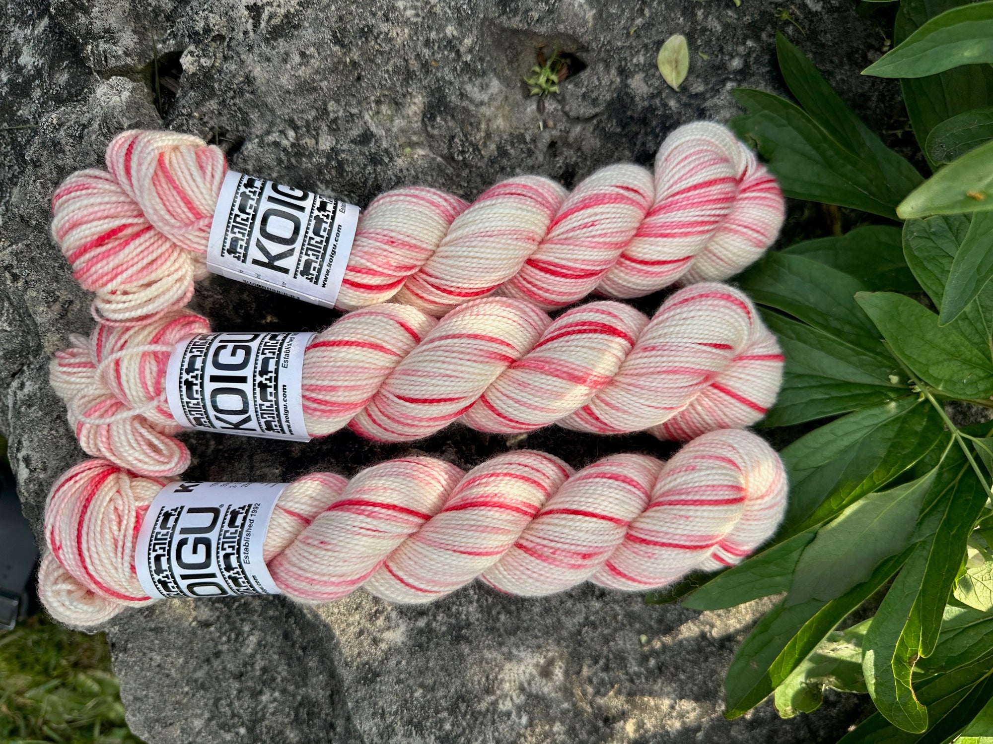 Canada Day Collector Colours (wholesale)
