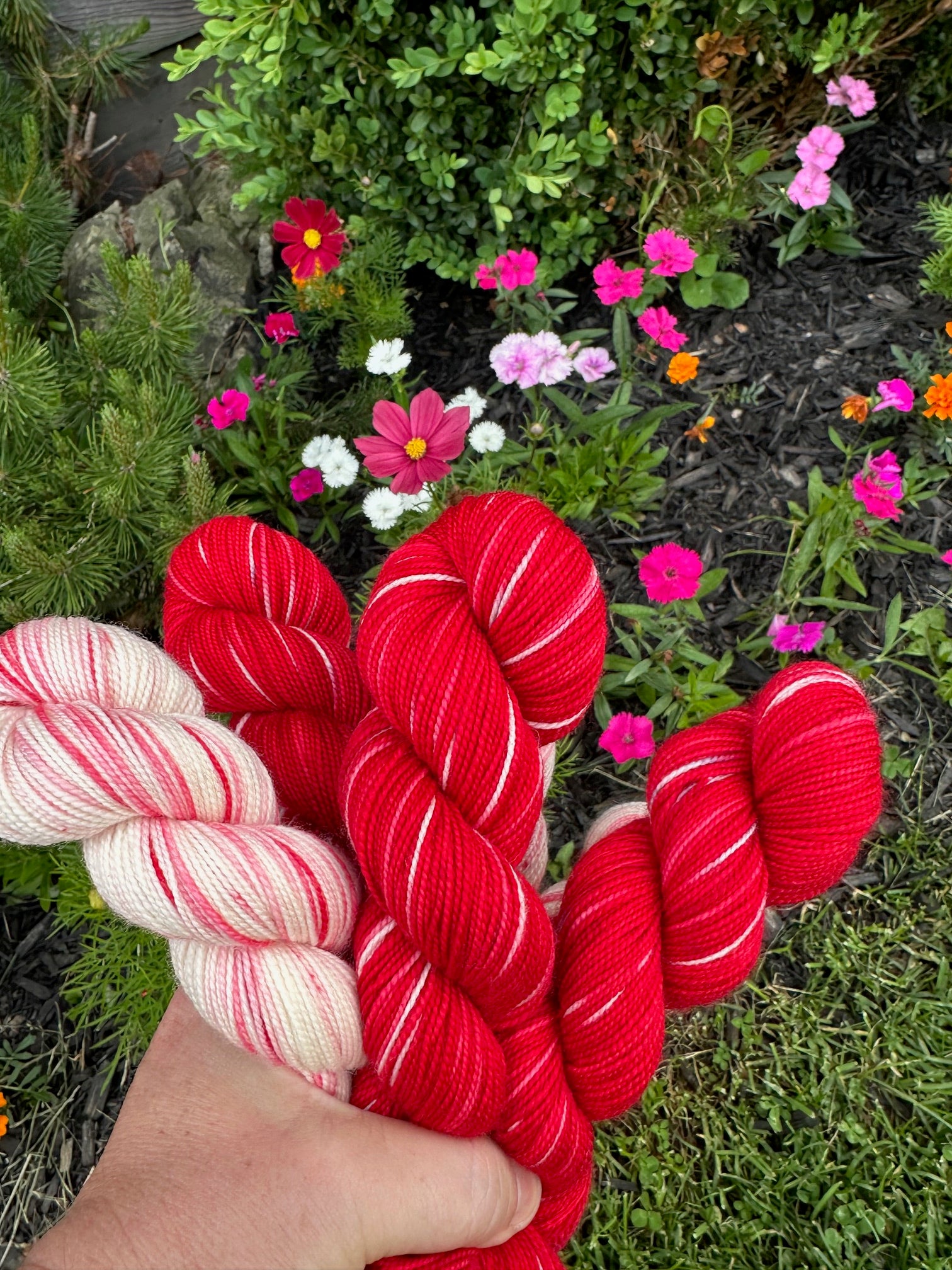 Canada Day Collector Colours (wholesale)