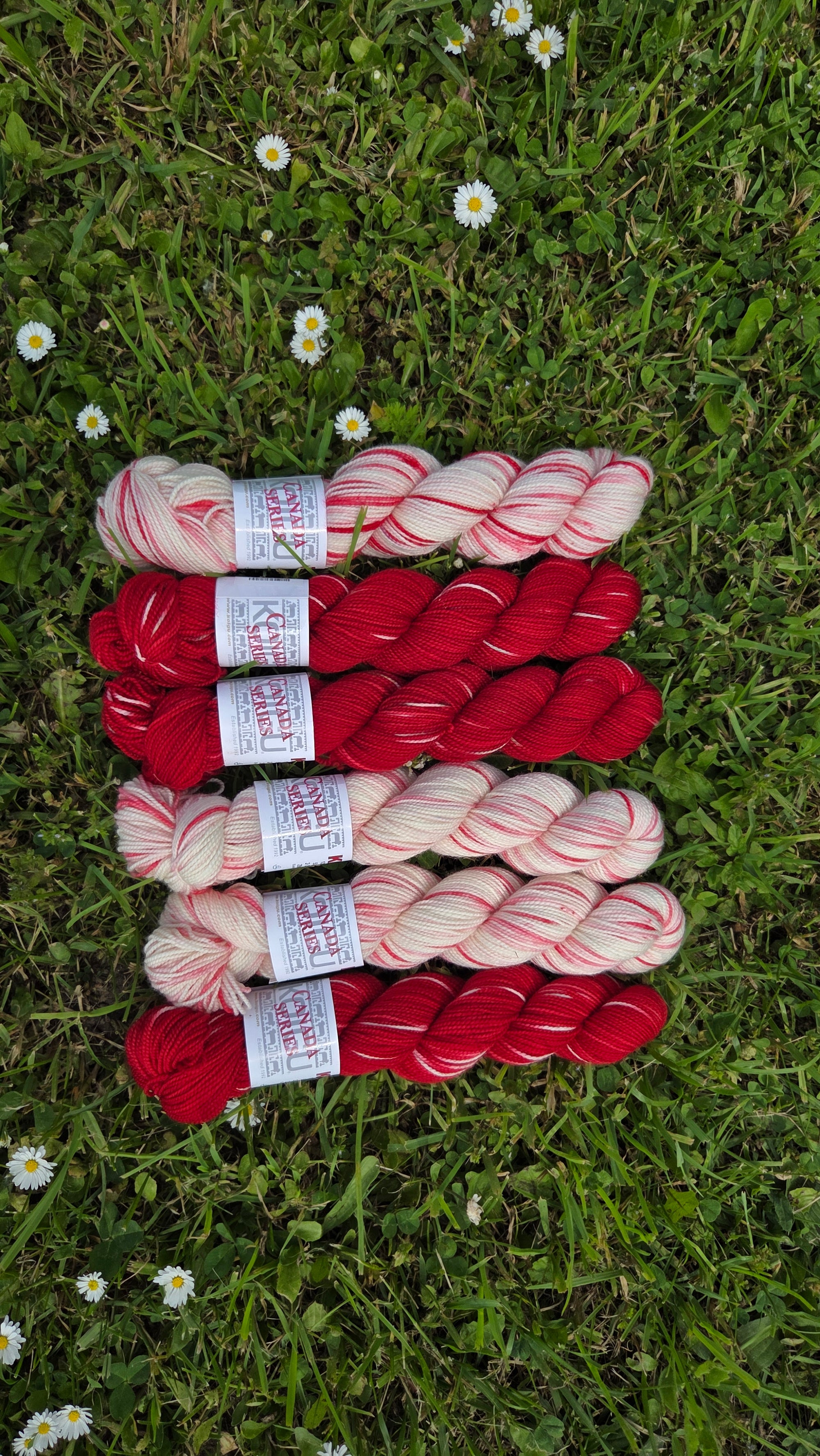 Canada Day Collector Colours (wholesale)