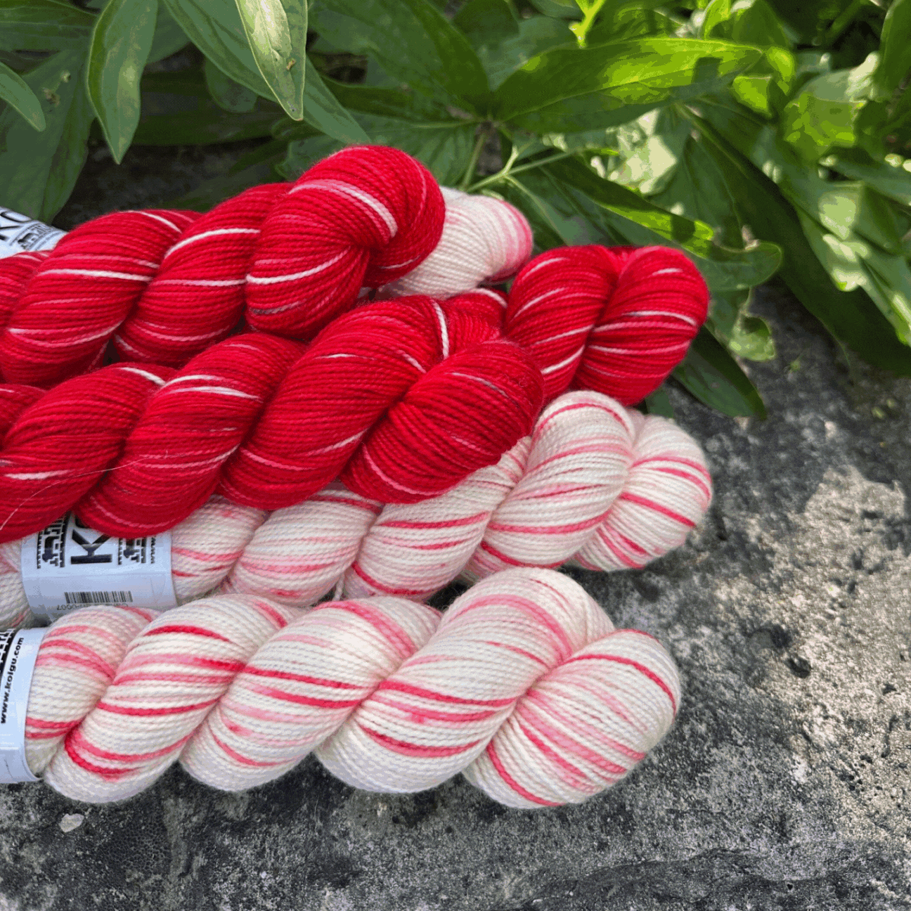 Canada Day Collector Colours (wholesale)
