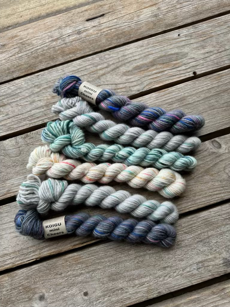 Cheers 6 mini skein pack (Lincoln Merino DK)