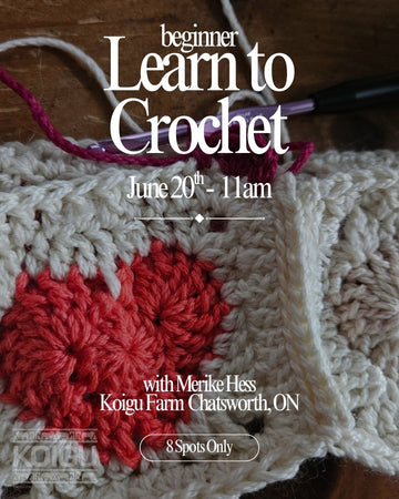 Beginner Learn to Crochet Workshop - June 20th 11:00AM